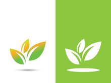 Logos of green tree leaf ecology nature element vector