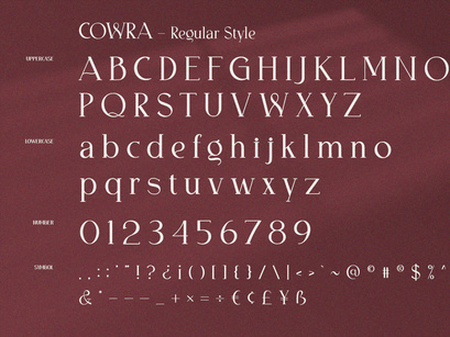 Cowra - Display Serif Font