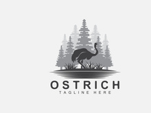 Ostrich Logo Design, Desert Animal Illustration