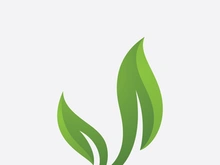 Green leaf ecological element vector icon logo