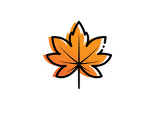 Autumn leaves fall simple vector