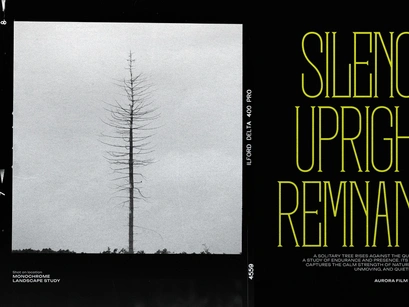 Krogad | Condensed Serif