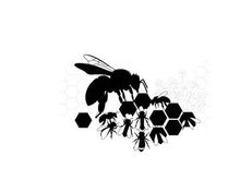 Silhouette of bees and ants on honeycomb pattern