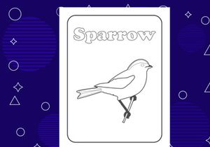10 Pages Bird coloring page or books for kids. Vector illustration