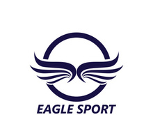 Eagle wing logo design vector image template