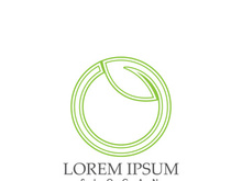 Logos of green Tree leaf ecology nature element vector