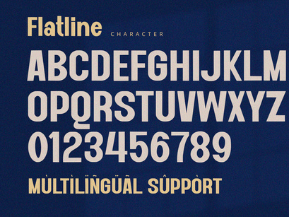 Flatline - Display Sans