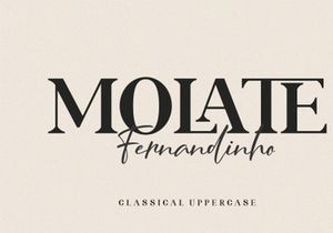 ROLATE Ligature Serif Typeface