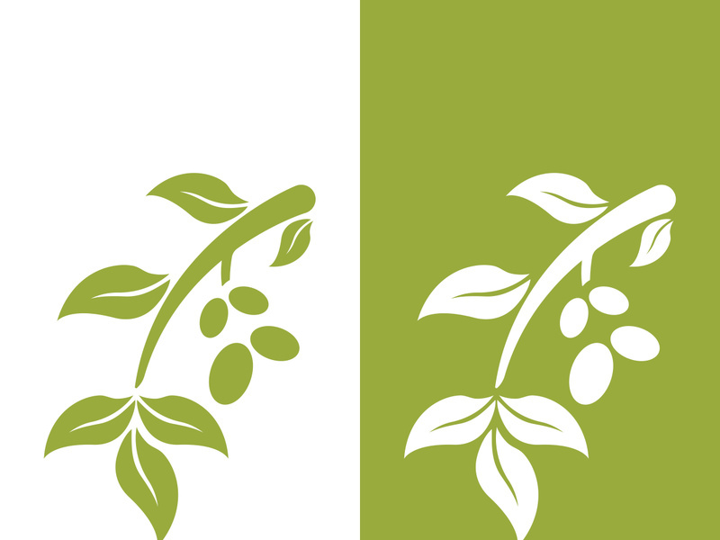 olive icon vector illustration design template