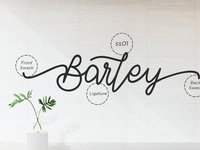 Barley - Monoline Calligraphy