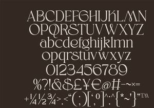 Beyline - Unique Elegance Serif Typeface Font