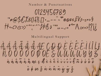 Vivy Aquilla - Handwritten Font