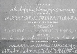 Porto Alegre Elegant Handwritting Signature Font