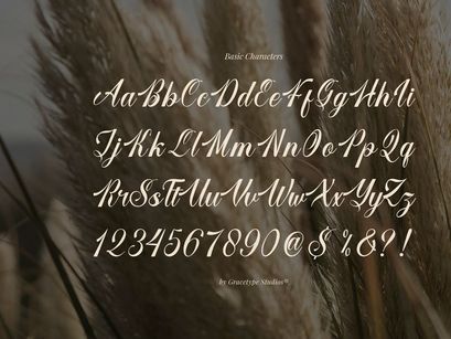 Larfioda | Elegant Script Font