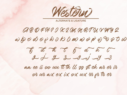 Western - Handbrush Script Font