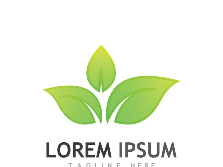 Natural green leaf logo design.