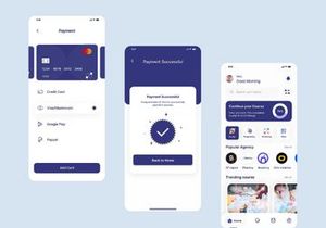 JobPay v1.0 - Offline Payment Gateway for LaraClassifier and JobClass