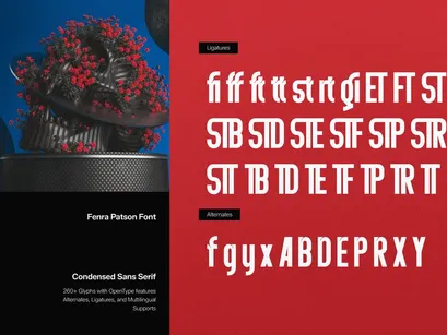 Fenra Patson | Condensed Sans Serif