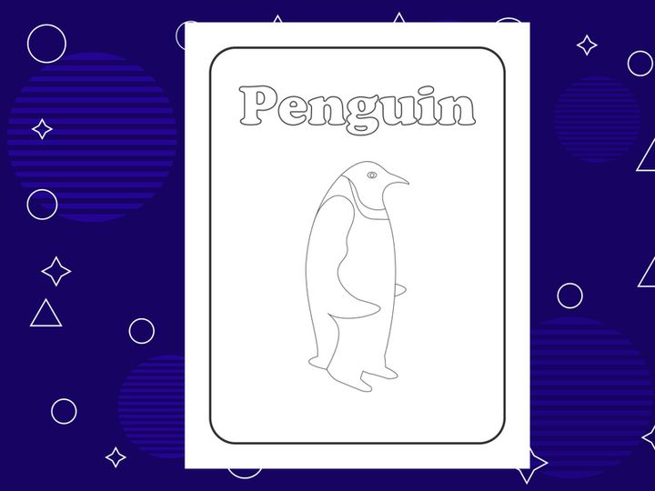 10 Pages Bird coloring page or books for kids. Vector illustration