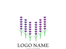 Fresh lavender flower logo vector flat design
