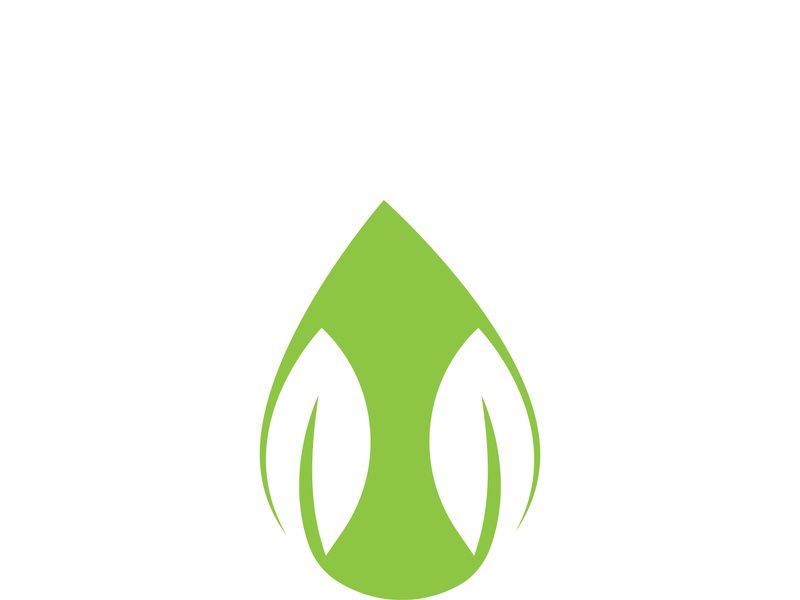 Logos of green tree leaf ecology nature element vector