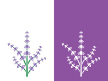 Fresh lavender flower logo vector flat design