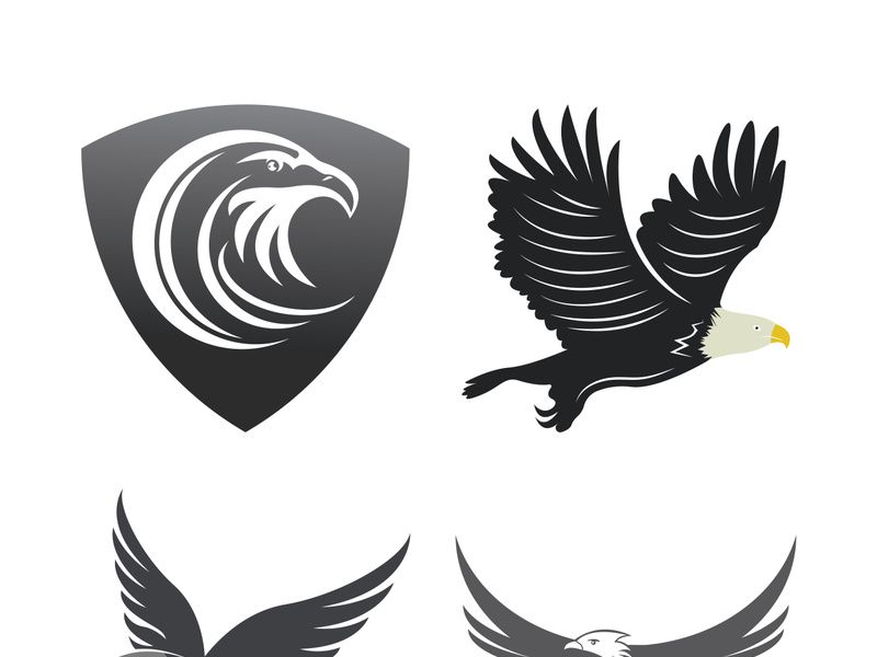 Falcon logo template vector illustration design