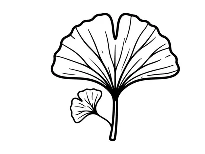 Ilustração elegante de folha de ginkgo para design botânico. Desenho botânico artístico para projetos temáticos de natureza.