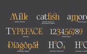 Angelia - Beautiful serif family