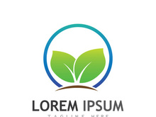 Natural green leaf logo.