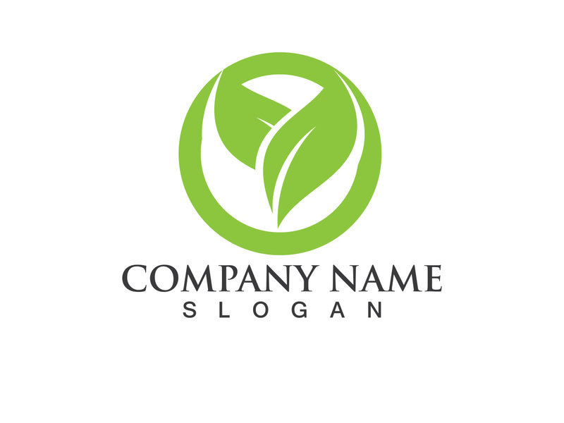 Green leaf logo Vector