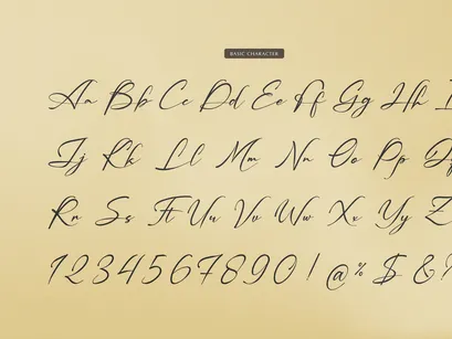 Palmintte | Handwritten Script