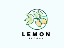 Lemon Logo, Luxurious Elegant Minimalist Design