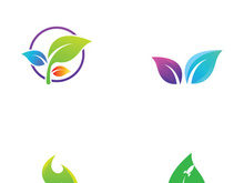 Natural green leaf logo design.