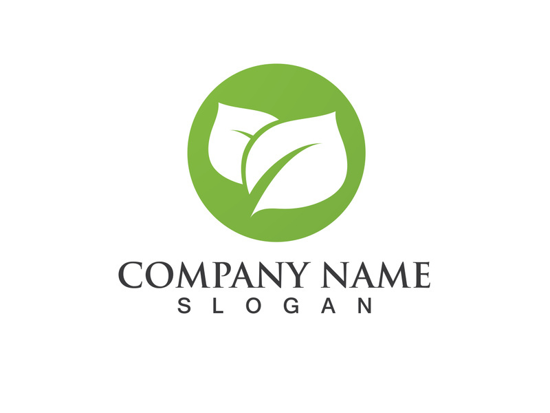 Green leaf logo Vector