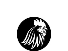 Rooster head logo template vector