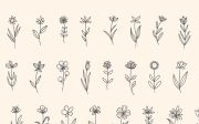 Wildflow - a Floral DIngbat