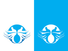 Dove bird logo vector design illustration