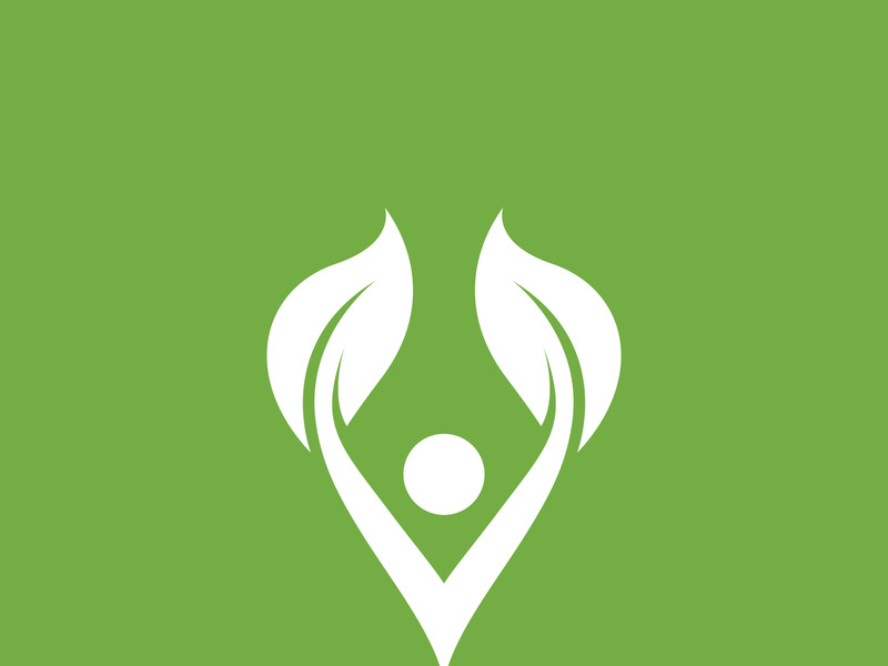 Leaf logo green nature vector image