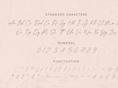 Felicity - Handwritten Font