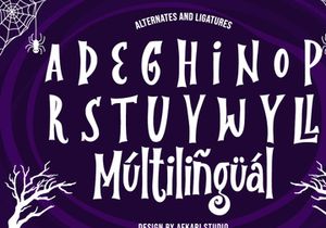 The Last Visitor – Special Display Serif Font