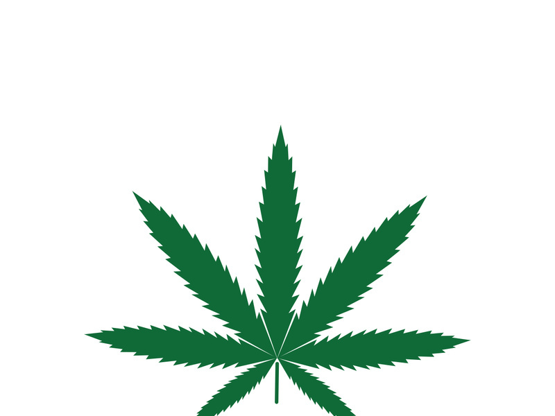 Canabis leaf logo and symbol vector