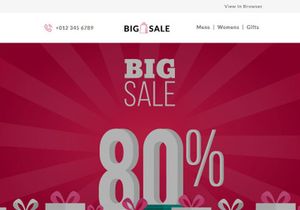 BIGSALE - Responsive Email Template
