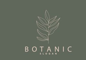Leaf Line Logo, Beautiful Hand Drawn Design
