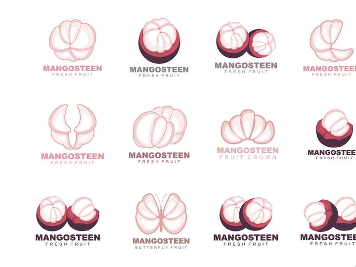 Mangosteen Logo, Mangosteen Flesh Illustration