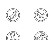 Lizard Chameleon Gecko Silhouette black vector