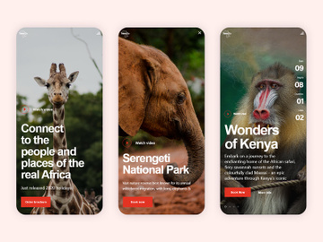 Africa Travel UI Kit preview picture