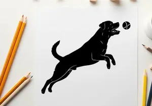 Black silhouette dog jumping for a ball in mid air silhouette