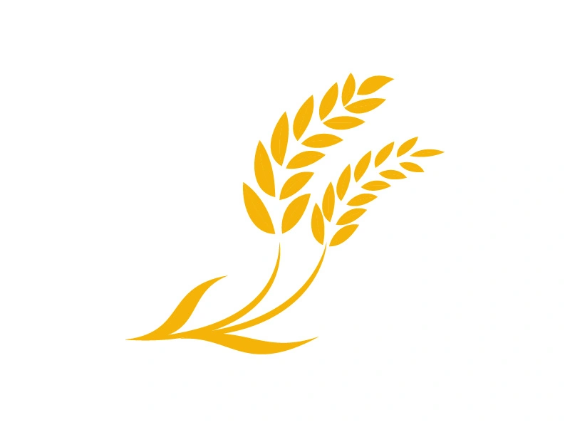 Agriculture wheat rice icon illustration