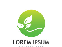 Natural green leaf logo design.